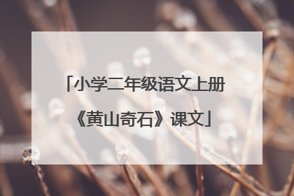 小学二年级语文上册《黄山奇石》课文