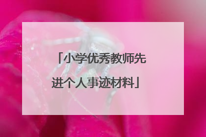 小学优秀教师先进个人事迹材料