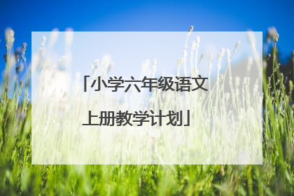 小学六年级语文上册教学计划