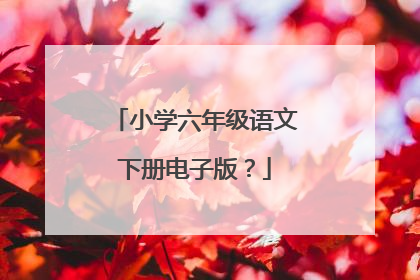 小学六年级语文下册电子版？