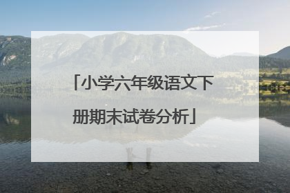 小学六年级语文下册期末试卷分析