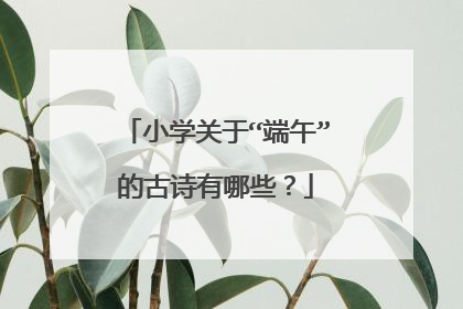 小学关于“端午”的古诗有哪些？
