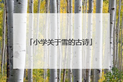 小学关于雪的古诗