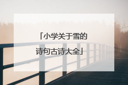 小学关于雪的诗句古诗大全