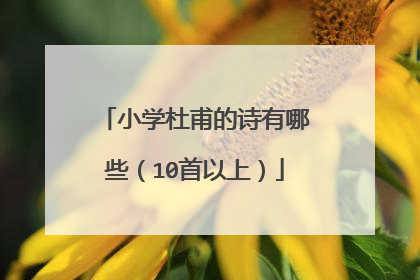 小学杜甫的诗有哪些（10首以上）