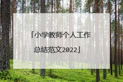 小学教师个人工作总结范文2022