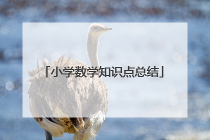 小学数学知识点总结