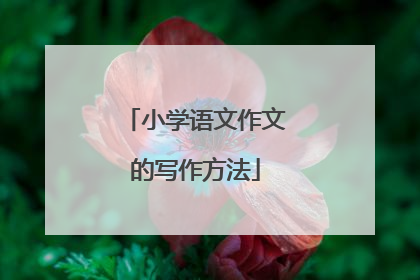 小学语文作文的写作方法