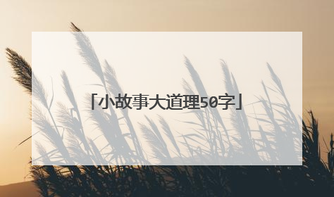 小故事大道理50字