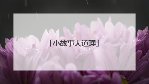 小故事大道理