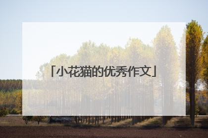 小花猫的优秀作文
