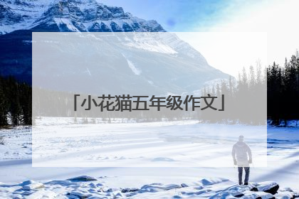 小花猫五年级作文