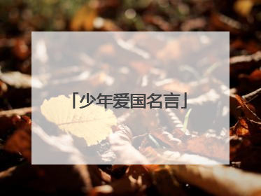 少年爱国名言