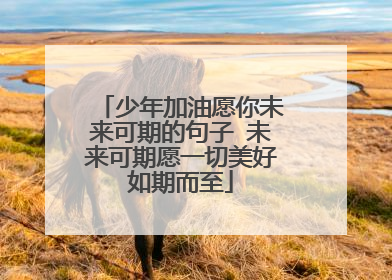 少年加油愿你未来可期的句子 未来可期愿一切美好如期而至