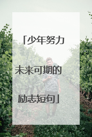 少年努力未来可期的励志短句