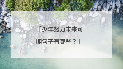 少年努力未来可期句子有哪些？