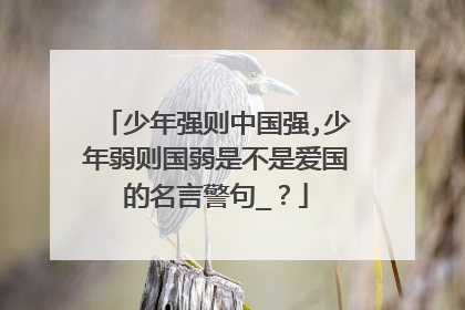 少年强则中国强,少年弱则国弱是不是爱国的名言警句_？