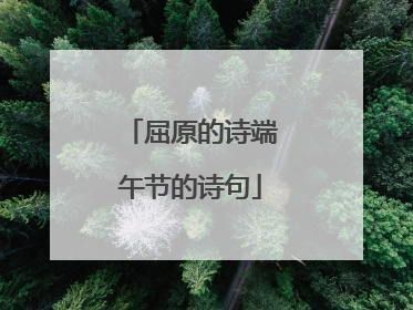 屈原的诗端午节的诗句