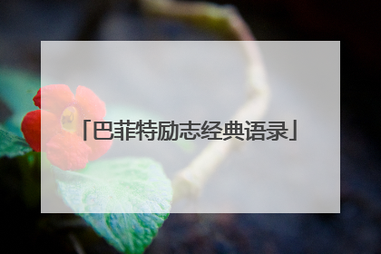 巴菲特励志经典语录
