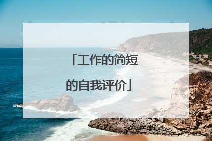 工作的简短的自我评价