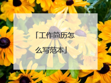 工作简历怎么写范本