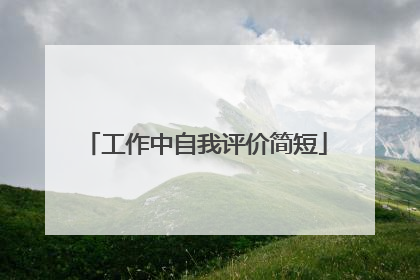 工作中自我评价简短