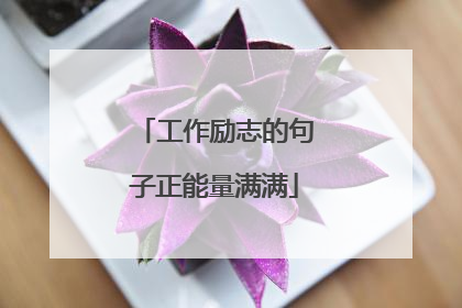 工作励志的句子正能量满满