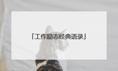 工作励志经典语录