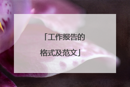 工作报告的格式及范文