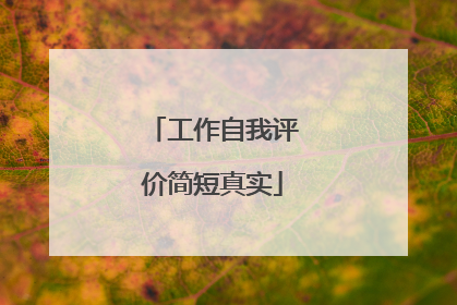 工作自我评价简短真实