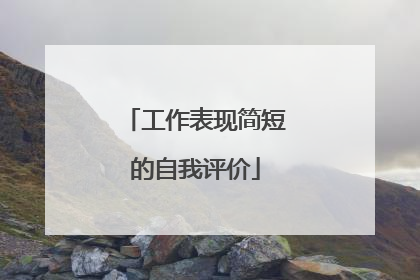 工作表现简短的自我评价