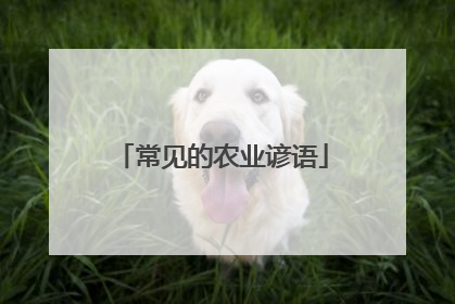 常见的农业谚语