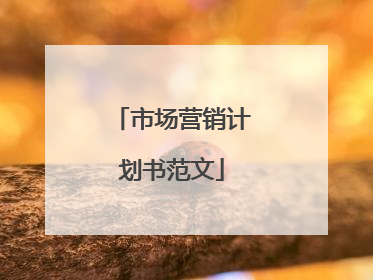 市场营销计划书范文