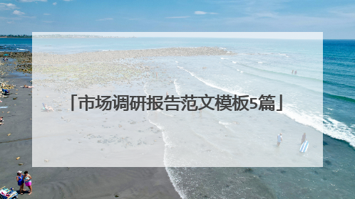 市场调研报告范文模板5篇