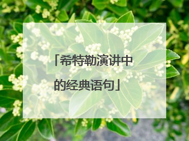 希特勒演讲中的经典语句