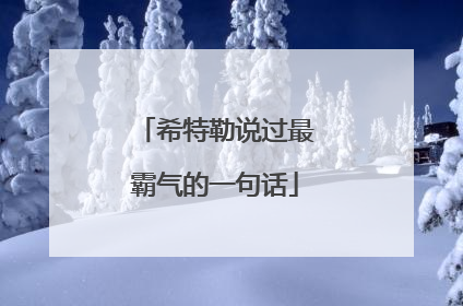希特勒说过最霸气的一句话