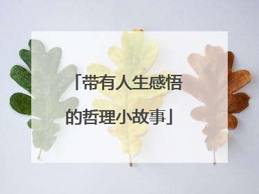 带有人生感悟的哲理小故事