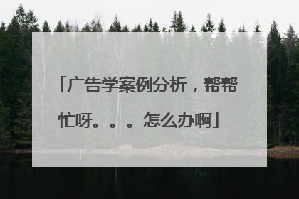 广告学案例分析，帮帮忙呀。。。怎么办啊