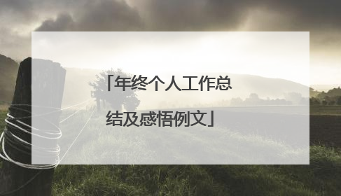 年终个人工作总结及感悟例文