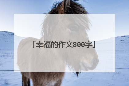 幸福的作文800字
