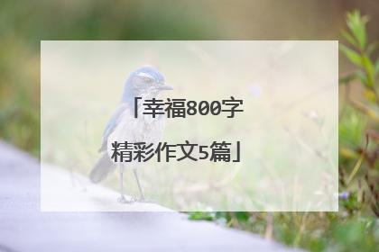 幸福800字精彩作文5篇