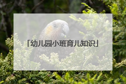幼儿园小班育儿知识