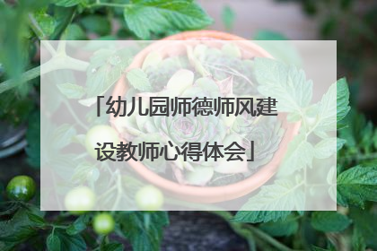 幼儿园师德师风建设教师心得体会