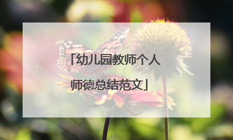 幼儿园教师个人师德总结范文