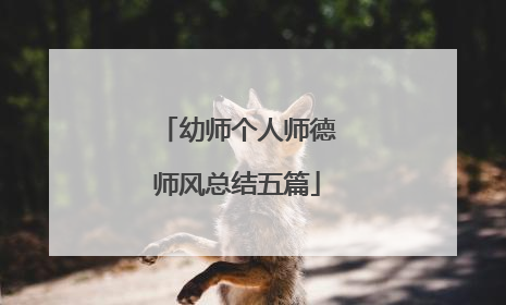 幼师个人师德师风总结五篇