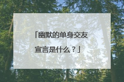 幽默的单身交友宣言是什么？