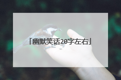 幽默笑话20字左右
