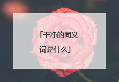干净的同义词是什么