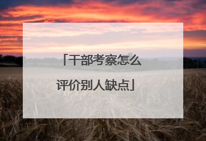 干部考察怎么评价别人缺点
