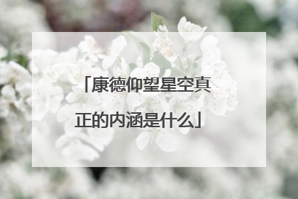 康德仰望星空真正的内涵是什么